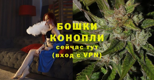гашик Богородицк