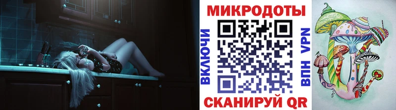 Псилоцибиновые грибы Cubensis Моршанск