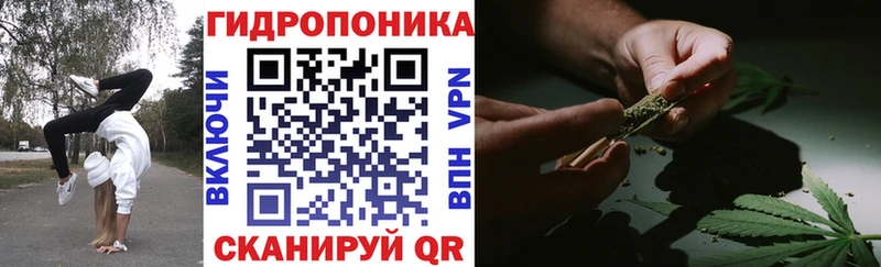 Бошки Шишки ГИДРОПОН даркнет клад Моршанск закладка